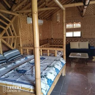 Shoka escape farm- Full farm - 6