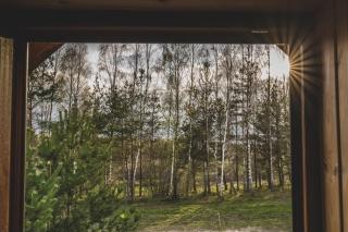 Comfortable holiday home with jacuzzi and sauna - 2