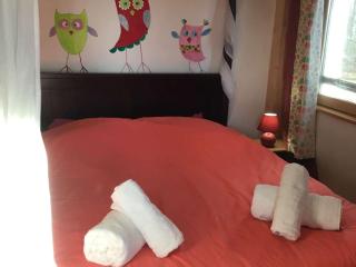 Maison écologique avec piscine privée, jusqu'à 6 personnes - FR-1-824-25 - 4