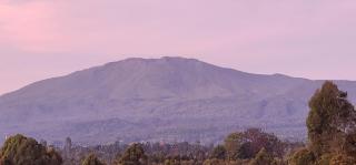 Texas Homes Meru 1 and 2 Bedroom Apartments - 5