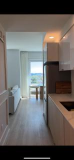 Luxury Apartment in Brooklyn - 2