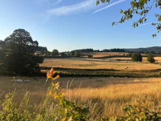 Comfortabele ingerichte tent - 3