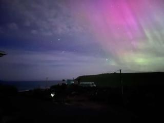 Beach Front Oasis - Catlins, Jacks Bay - 9