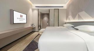 Borrman Hotel Fangchenggang Shangsi Zhonghua Road - Shangsi - 2