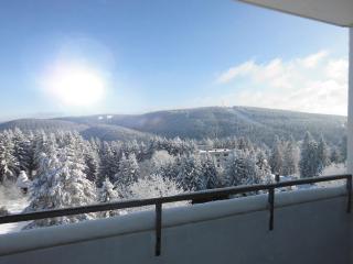 Appartements Am Kranichsee - Hahnenklee-Bockswiese - 6