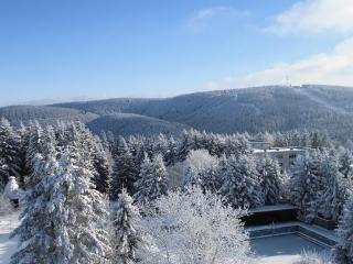 Appartements Am Kranichsee - Hahnenklee-Bockswiese - 9