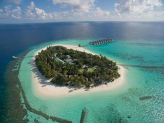 Angaga Island Resort and Spa - 5