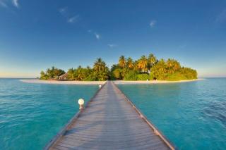 Angaga Island Resort and Spa - 3