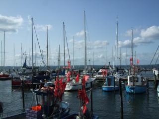 Ferienwohnung Hyggebo - 8