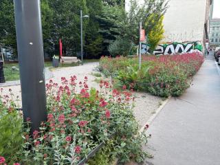 Apartment Top 20 - 60m2 - Klimaanlage - 1