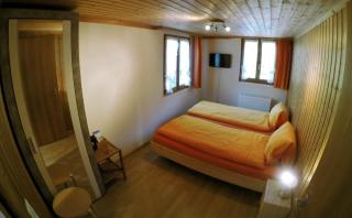 Alpenchalet Weidhaus Gstaad - Gstaad - 8