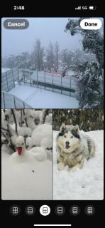 Aaram Baagh Simla - 8