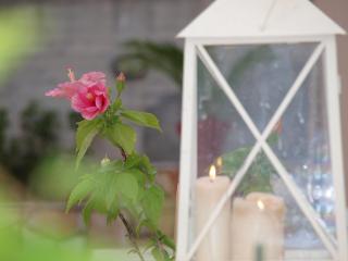 Aristotelis Apartments - 5