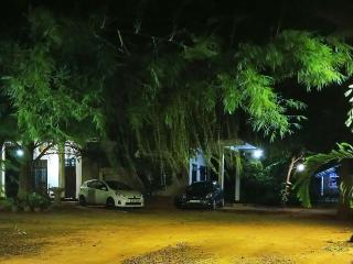 Yala Thaman - Kataragama - 7