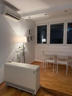 Light & Cozy Flat Banovo Brdo - 9