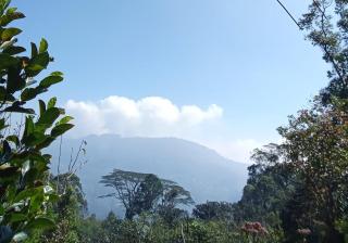 The nest haputale - 2