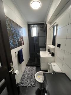 Ideal House Rent - Petroşani - 7