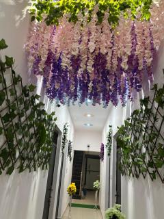 Shri Ji Guest House - 3