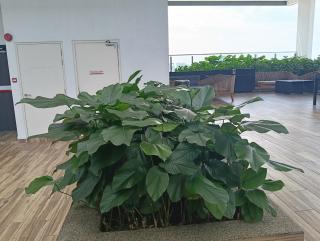 Colony by infinitum KLCC - 1