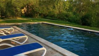 Owi - Idyllisches Ferienhaus inmitten der Natur - 6