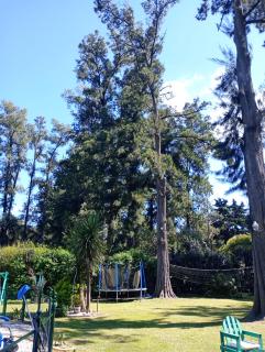 Quinta San Antonio - Luján - 4