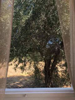 Eirēnē house Afantou - 9