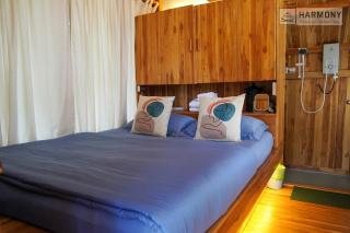 Harmony Botanical Garden Stay - 300 Plant Species, Natural Stream and Small Pool - 6