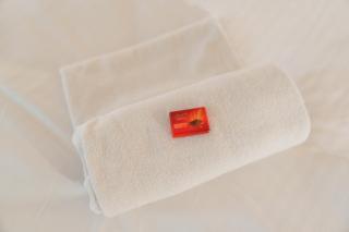 Pilatus Nest I Lucerne I Mountains I sunny terrace - 1