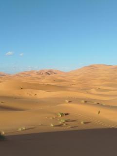 Family Dunes Camp - 9