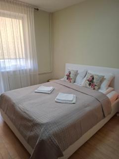 Silver Vytauto Apartments - 3