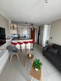 Dpto Calle Limache Frente al terminal de Viña Del Mar - 1