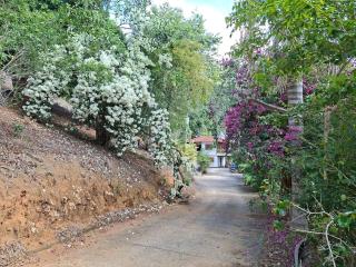 Sítio Guadalupe Refuge, Paz, ar puro e Natureza - 8