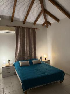 Villa Soleil des Caraïbes - 5