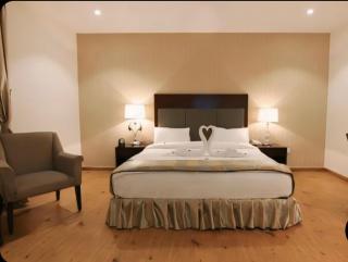 Aliah Towlan Palace - Riad - 8