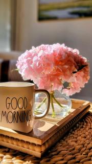 ClemsonILakesideIParkPassIPizzaOvenlYouTubeTVlFirePit - 6