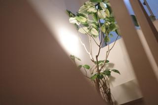 8b HOTEL -Osaka Nishikujo APARTMENT- - 6