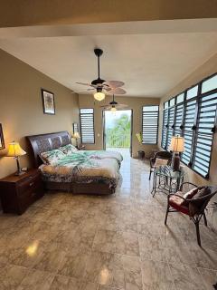Vieques BioBay Bed and Breakfast - 9