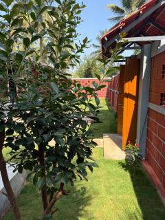 Dhani Nature Stay - 5