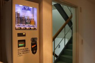 Hotel Auberge - Yakushima - 6