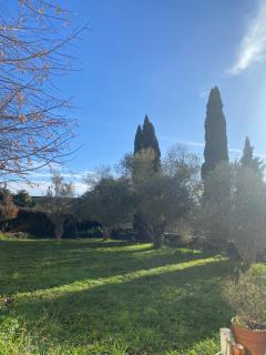 Charmante maison au cœur de la cité médiévale - 9