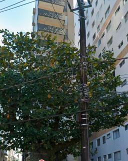 Gonzaguinha Apartamento frente à praia - 9