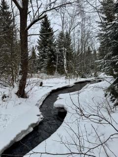 Cabana Bradul Adelinei - 1