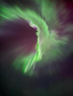 Oceanfront Cabin - 9