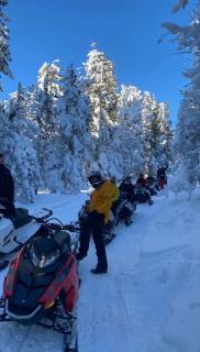 Cabana Bradul Adelinei - Bucin - 9