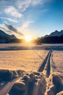 Apartment Maisonette Alpenrose by Interhome - 1