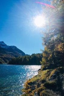 Apartment Maisonette Alpenrose by Interhome - 7