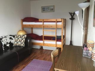 Apartment FLUMSERBERG TANNENHEIM by Interhome - 4