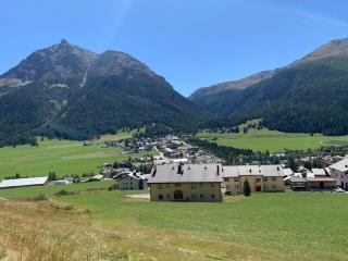 Apartment Wohnung Grün by Interhome - 5