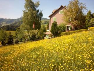 Holiday Home Haus Chrumis by Interhome - 7