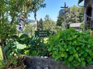 Holiday Home Haus Chrumis by Interhome - 4